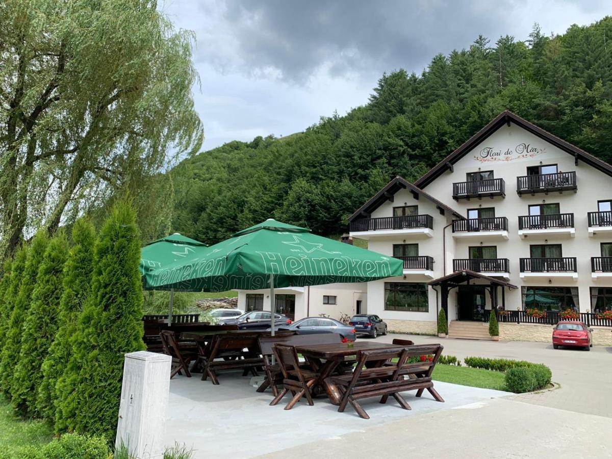 Flori De Mar Hotel Poiana Mărului Zewnętrze zdjęcie