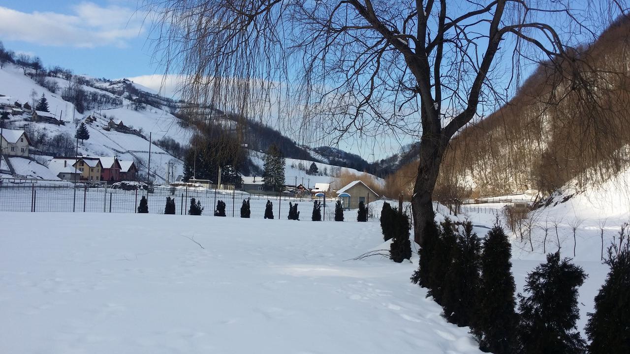 Flori De Mar Hotel Poiana Mărului Zewnętrze zdjęcie